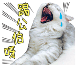 120667659