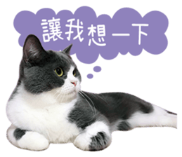 120667660