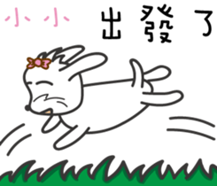 120677703