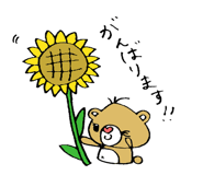 12075193