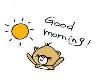12075203