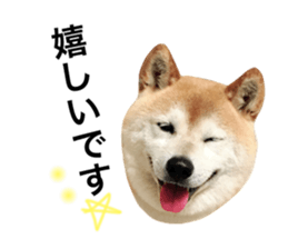 120765070