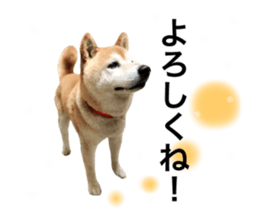 120765071