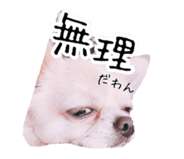 120775706