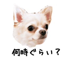120775726