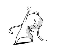 12079216