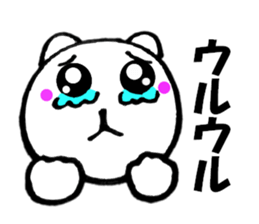 12080962