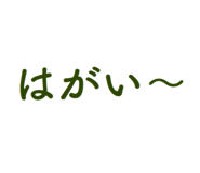 120849202