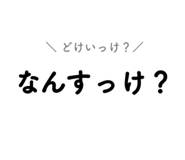 120849213