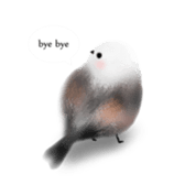 120851980