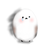 120851981