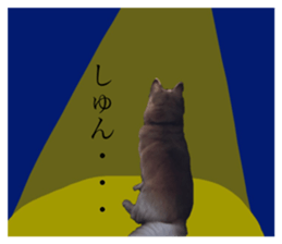 120952725