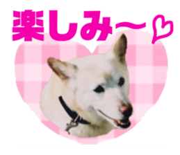 120952732