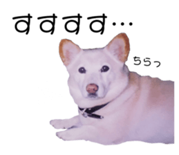 120952737
