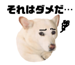 120952741