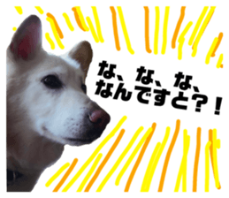 120952746
