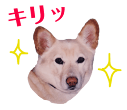 120952751