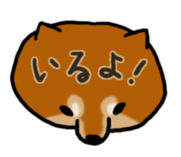 1210212