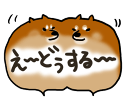 1210216