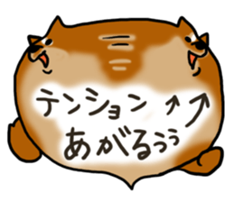 1210224