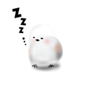 121053969