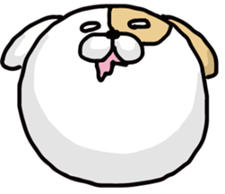 1210645