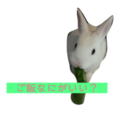 121086540