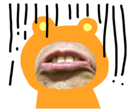 121145617