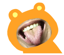 121145619