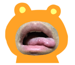 121145626