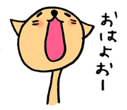 1212916