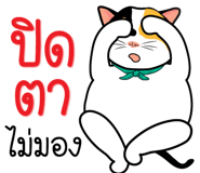 121337370
