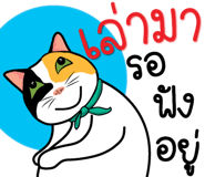 121337376