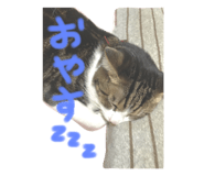 121462326