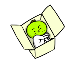 12152052