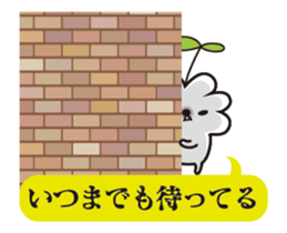 12155981