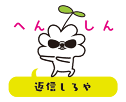 12155987
