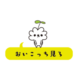 12155996
