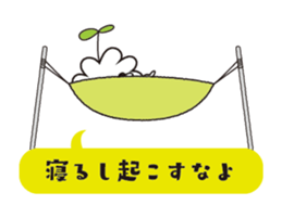 12155997
