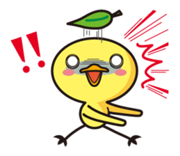 1215797