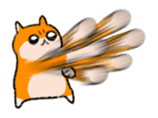 12165209