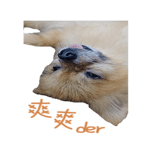121668414
