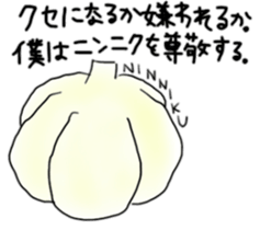 12173288