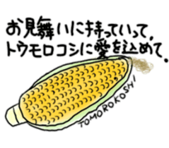 12173306