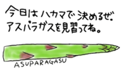 12173312