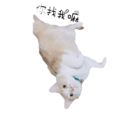 121822593