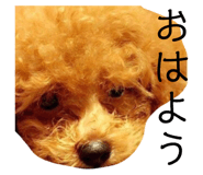 121863271