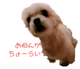 121878937