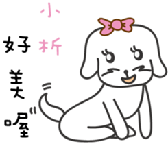 122202900