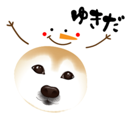 122210194